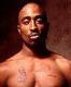 Profile picture for user Tupac-Shakur