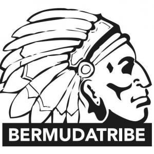 Profile picture for user BERMUDATRIBE