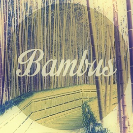Profile picture for user Bambus