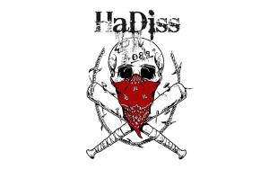 Profile picture for user HaDiss