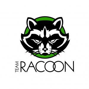 Profile picture for user Team Racoon