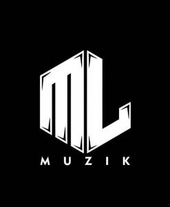 Profile picture for user ML Muzik
