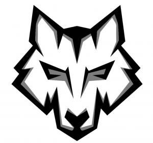 Profile picture for user Wolf Production