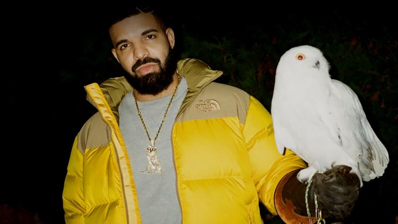 Drake hält eine Eule