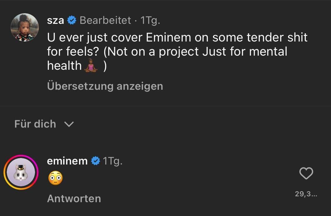 Eminem kommentiert unter dem "Lose Yourself"-Cover von SZA