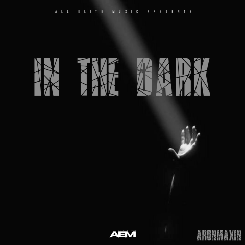 Cover zu dem Song "In the Dark" von Aronmaxin.