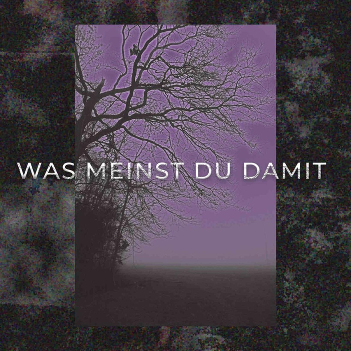 Rafro - Was Meinst Du Damit (Cover)
