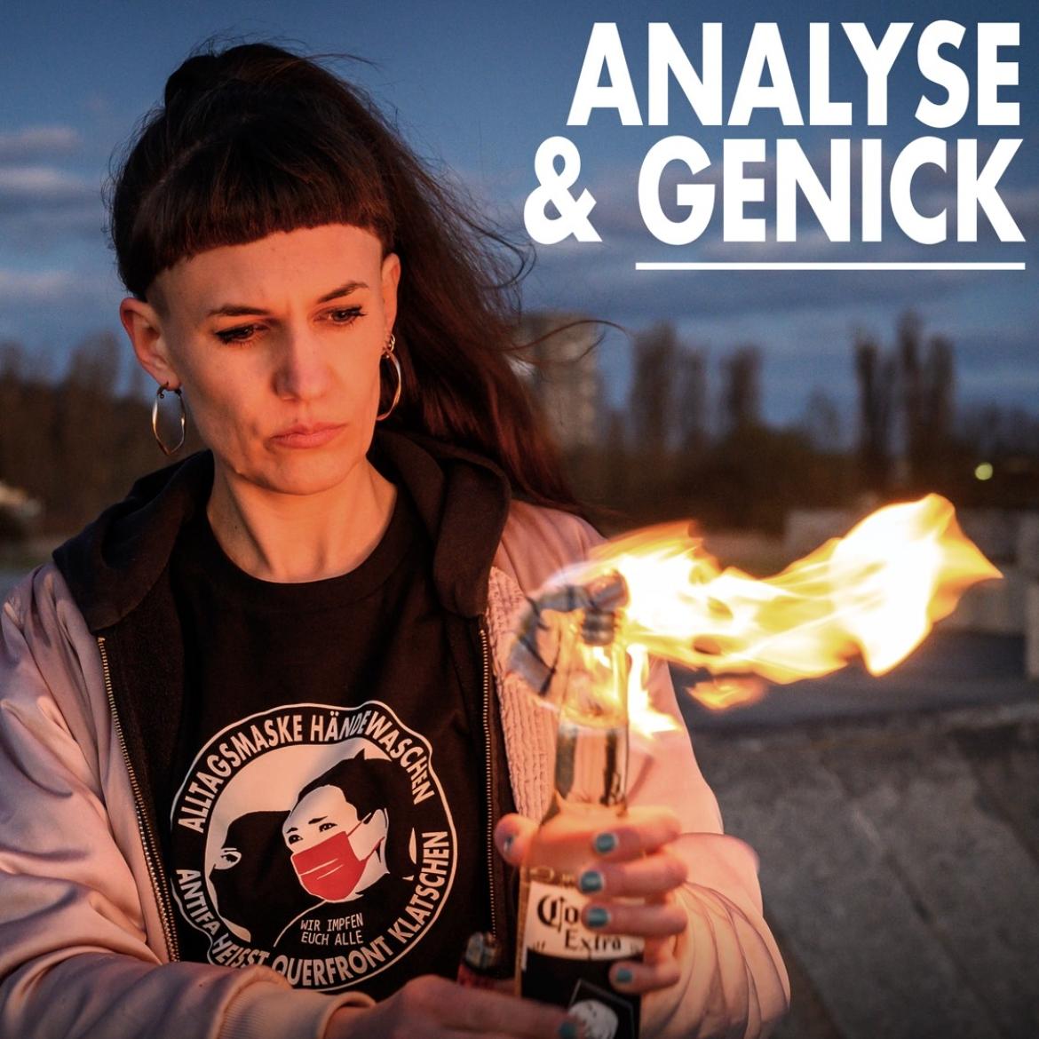 Singlecover Babsi Tollwut Analyse & Genick