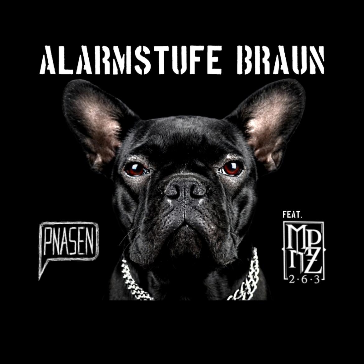 Pnasen feat. MPnZ - Alarmstufe Braun (prod. by Pnasen)