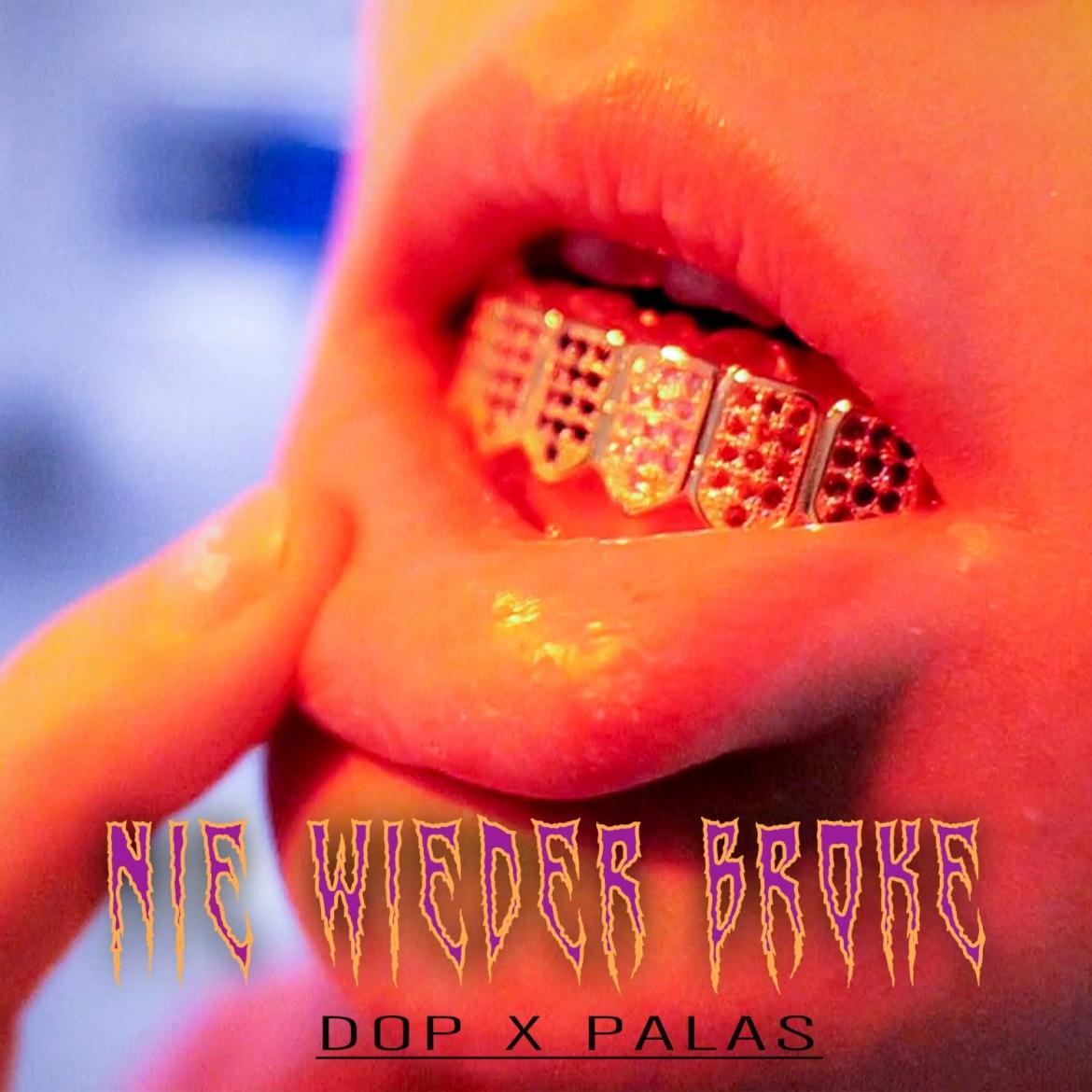PALAS x DOP - Nie wieder broke (Cover)