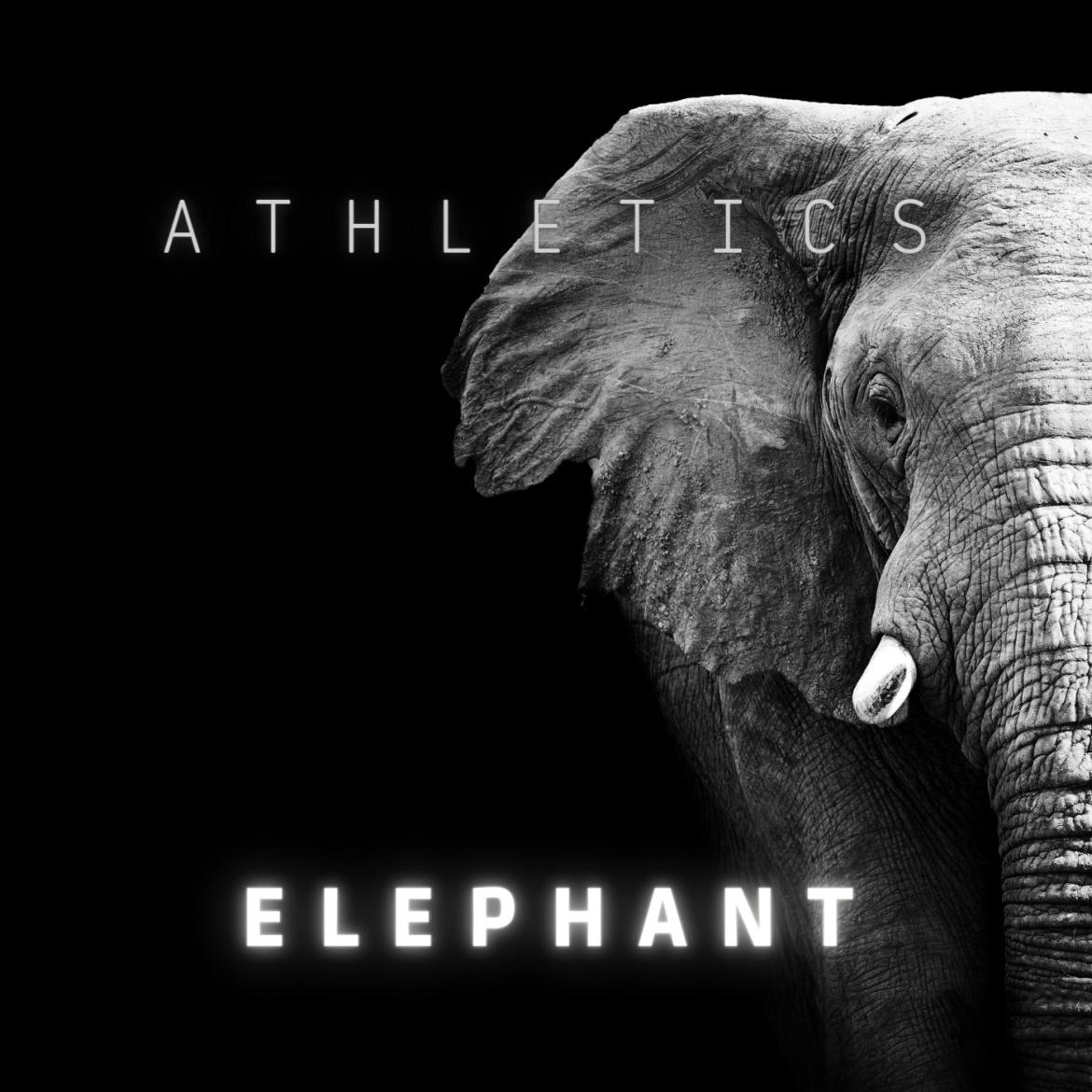 Athletics - Elephant