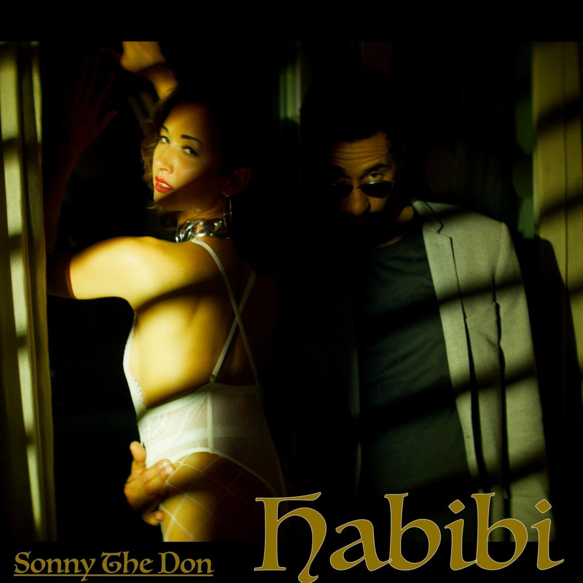 SonnyTheDon - Habibi Cover