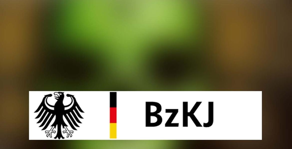 Collage mit Logo der BzKJ